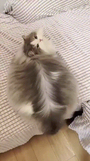 3DM����һ�̵�1650�� ս���ү����������ܽ�����