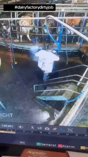 3DM����һ�̵�1649�� �Ȳ�ʱ��Լ�ŵ���ˬ��ζ��