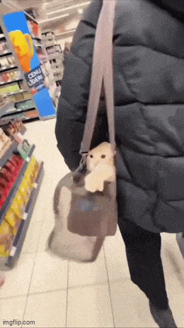 3DM����һ�̵�1654�� ��С�����е㶫������