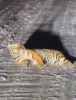 3DM����һ�̵�1654�� ��С�����е㶫������