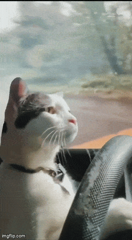 3DM����һ�̵�1654�� ��С�����е㶫������