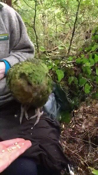 3DM����һ�̵�1658�� ���������Ϊ�����Ը�Ů��