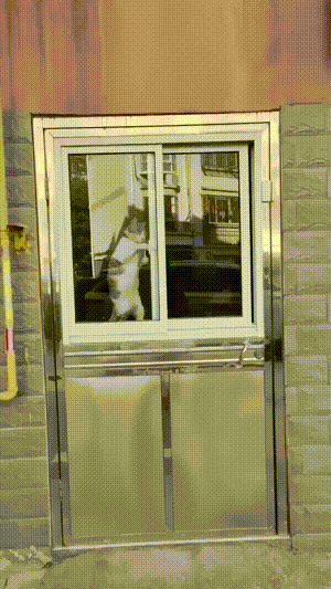 3DM����һ�̵�1658�� ���������Ϊ�����Ը�Ů��