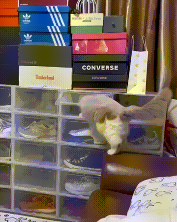 3DM����һ�̵�1658�� ���������Ϊ�����Ը�Ů��