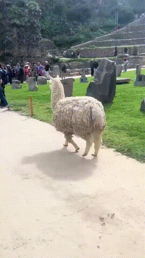 3DM����һ�̵�1658�� ���������Ϊ�����Ը�Ů��