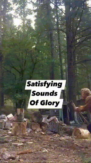 3DM����һ�̵�1658�� ���������Ϊ�����Ը�Ů��