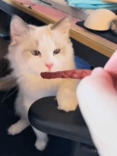 3DM����һ�̵�1658�� ���������Ϊ�����Ը�Ů��