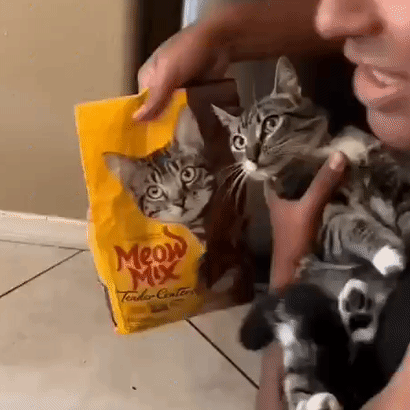 3DM����һ�̵�1658�� ���������Ϊ�����Ը�Ů��