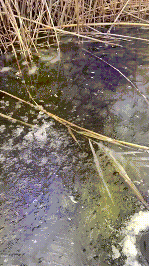 3DM����һ�̵�1660�� ��Ů�Կ�����ĺ���ѽ��