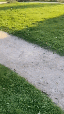 3DM����һ�̵�1660�� ��Ů�Կ�����ĺ���ѽ��