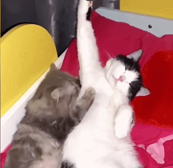 3DM����һ�̵�1660�� ��Ů�Կ�����ĺ���ѽ��