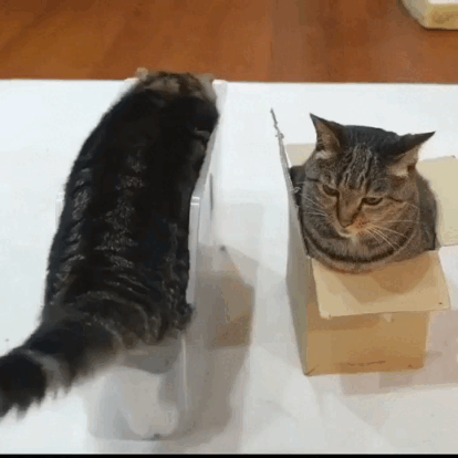 3DM����һ�̵�1660�� ��Ů�Կ�����ĺ���ѽ��