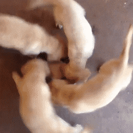 3DM����һ�̵�1660�� ��Ů�Կ�����ĺ���ѽ��