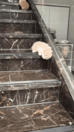 3DM����һ�̵�1660�� ��Ů�Կ�����ĺ���ѽ��