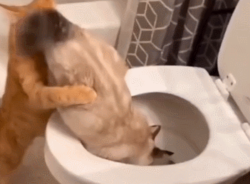 3DM����һ�̵�1660�� ��Ů�Կ�����ĺ���ѽ��