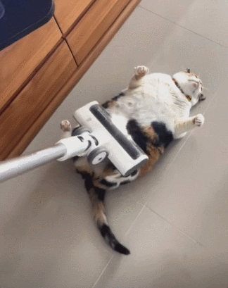 3DM����һ�̵�1688�� ������һ���ó�Ҫѧ������