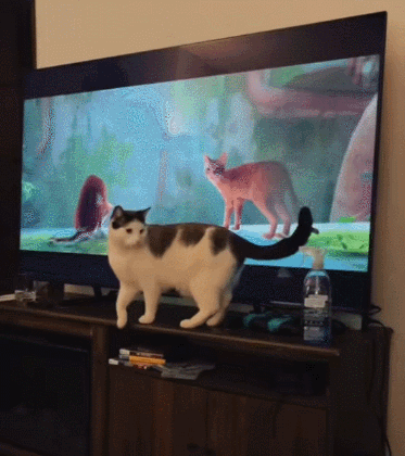 3DM����һ�̵�1688�� ������һ���ó�Ҫѧ������