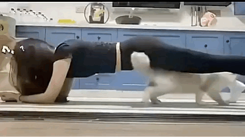 3DM����һ�̵�1688�� ������һ���ó�Ҫѧ������