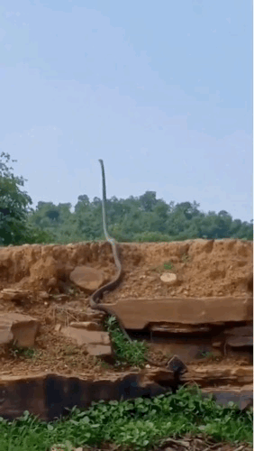 3DM轻松一刻第1688期 人生是一场旅程要学会享受