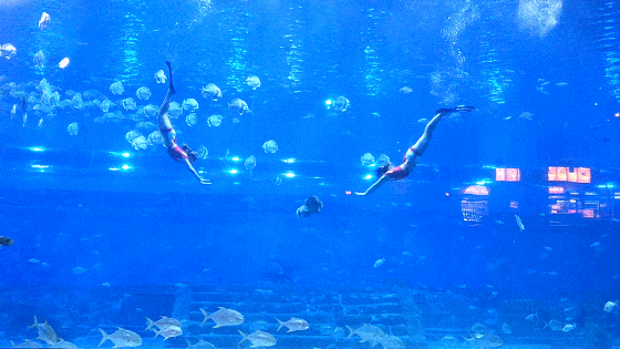 3DM����һ�̵�1688�� ������һ���ó�Ҫѧ������