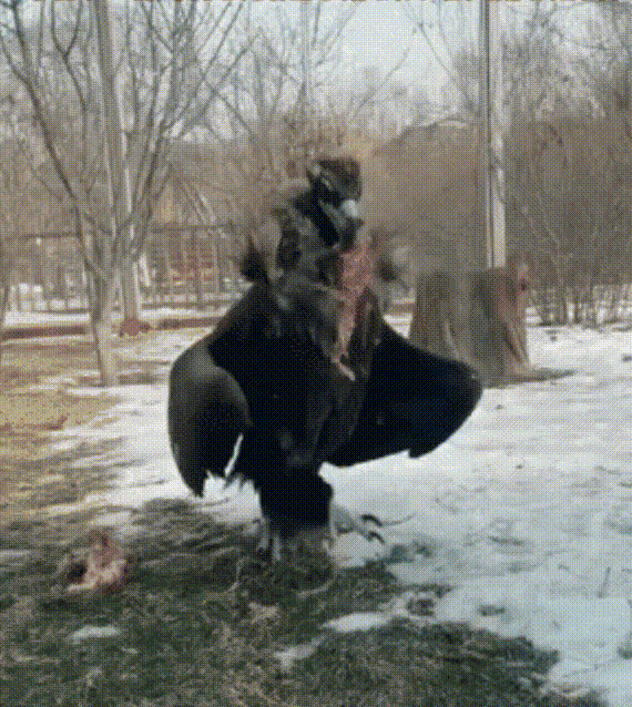 3DM����һ�̵�1688�� ������һ���ó�Ҫѧ������