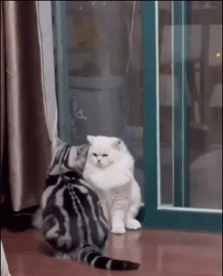 3DM����һ�̵�1688�� ������һ���ó�Ҫѧ������