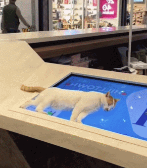 3DM����һ�̵�1688�� ������һ���ó�Ҫѧ������