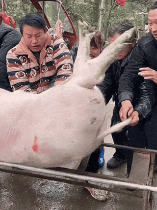 3DM轻松一刻第1688期 人生是一场旅程要学会享受