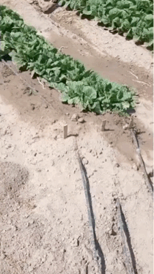 3DM����һ�̵�1688�� ������һ���ó�Ҫѧ������