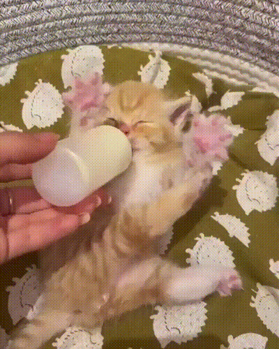 3DM����һ�̵�1690�� �ͺ���̸��������Ů��û��Ҫ