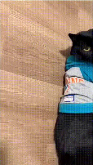 3DM����һ�̵�1690�� �ͺ���̸��������Ů��û��Ҫ