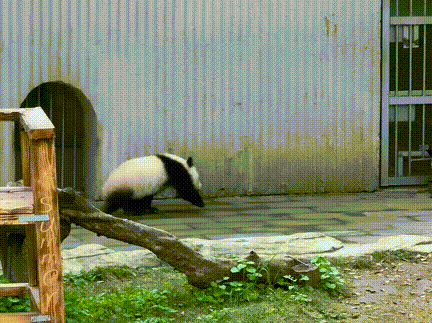 3DM轻松一刻第1690期 和黑人谈过恋爱的女生没人要