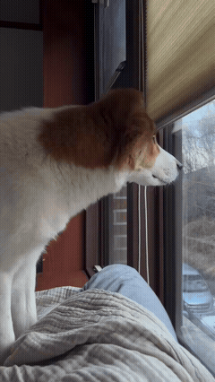 3DM����һ�̵�1690�� �ͺ���̸��������Ů��û��Ҫ