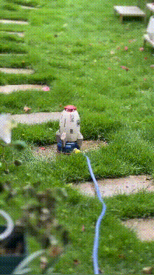 3DM����һ�̵�1690�� �ͺ���̸��������Ů��û��Ҫ