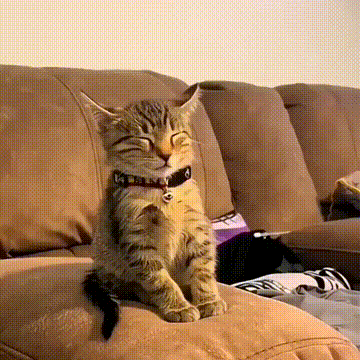 3DM����һ�̵�1690�� �ͺ���̸��������Ů��û��Ҫ