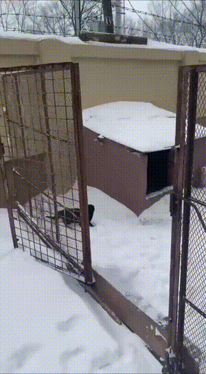 3DM����һ�̵�1690�� �ͺ���̸��������Ů��û��Ҫ