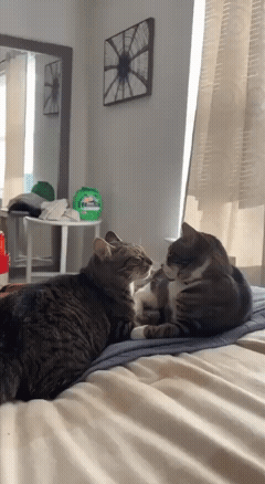 3DM����һ�̵�1714�� �������ӷ�������͵����