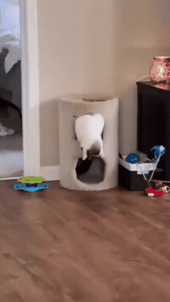 3DM����һ�̵�1714�� �������ӷ�������͵����