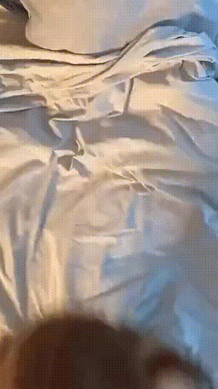 3DM轻松一刻第1793期 伴娘不开门伴郎扔烟雾弹