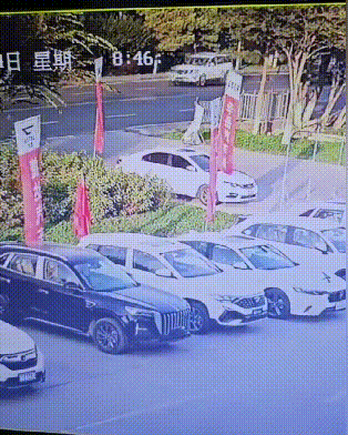 3DM轻松一刻第1737期 夜晚街道她还是最初的一人