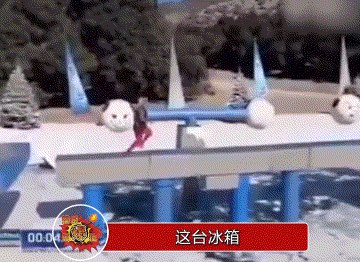 周五福利囧图云飞系列 美女抖臀不能是谁都能学的