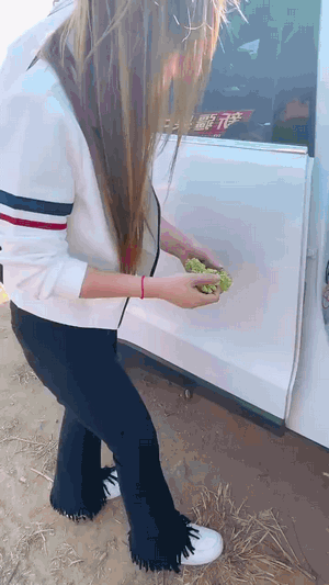 周五福利囧图云飞系列 美女抖臀不能是谁都能学的