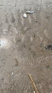 3DM轻松一刻第1745期 张雪峰教心脏猝死如何抢救
