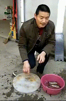 周一内涵囧图云飞系列 空姐总是那么引人注目！