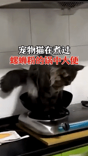周五福利囧图云飞系列 大雷妹武功高强罪大恶极！