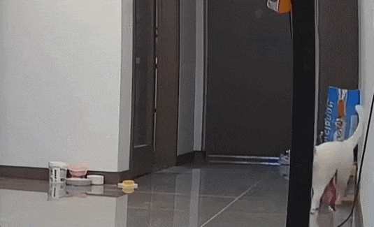 周五福利囧图云飞系列 大雷妹武功高强罪大恶极！