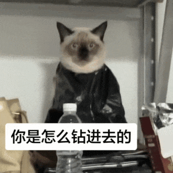 3DM轻松一刻第1783期 白丝美女腿上绑面包干嘛？
