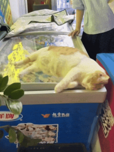 周一内涵囧图云飞系列 小姐姐你挤得也太多了吧！