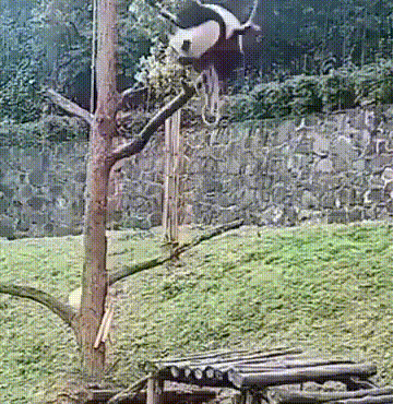 周一内涵囧图云飞系列 裙子都罩不住那点风情了！