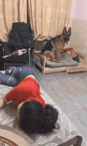 周五福利囧图云飞系列 美女的工服能直接当战袍了